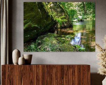 Landschaft im Triebtal Vogtland Sachsen von Animaflora PicsStock