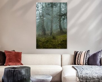 Ambiance de brouillard mystique dans la forêt d'épicéas de montagne 9 sur Holger Spieker