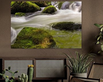 Cascade d'un ruisseau de montagne dans la forêt sur Animaflora PicsStock