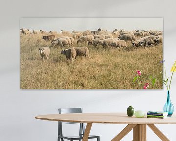 Sheep flock on the dyke near Katwijk aan Zee. 2 by Alie Ekkelenkamp