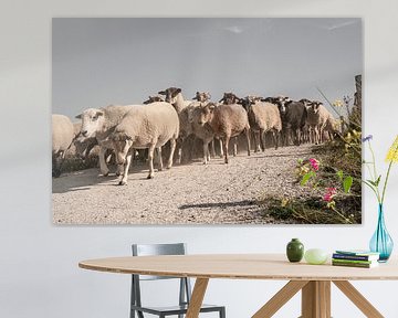 Sheep herding in the dunes. Katwijk aan Zee. 3 by Alie Ekkelenkamp