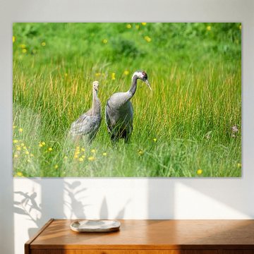 Kranich mit Jungtieren