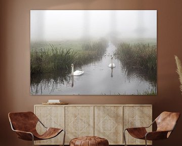 Swans in the fog by Esther Wagensveld