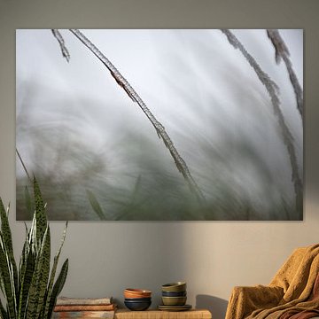 Abstract nature photo (ice on blade of grass)