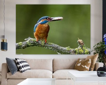 Kingfisher with roach by Martijn Smit