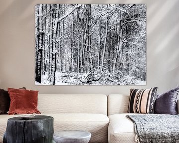 Het bos in de winter van Krzysztof Tollas