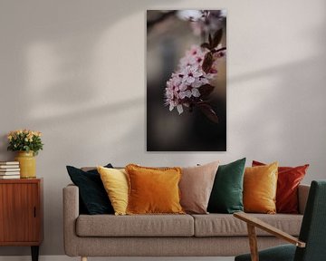 Zacht roze kersenbloesem bloemenprint