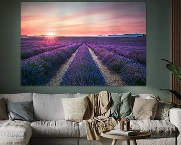 Lavendelbloemenvelden bij zonsondergang. Valensole, Frankrijk van Stefano Orazzini