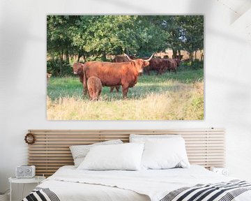 Schotse Hooglander koe met kalf van Henk van den Brink