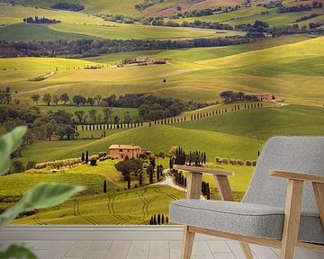 Hills of Tuscany Italy