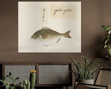 Poisson non identifié, Kawahara Keiga sur Fish and Wildlife