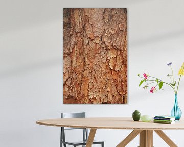 Botanisch boomschors textuur van Mitsy Klare