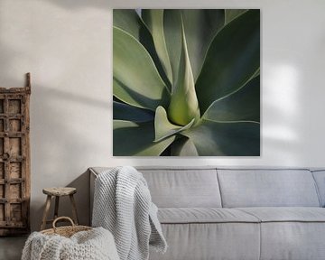 Botanisch de kunst van de Agave van Mitsy Klare