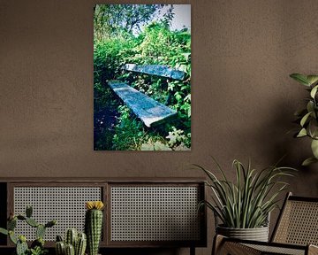 Banc dans la forêt de La Haye