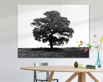 Tree in Black and White