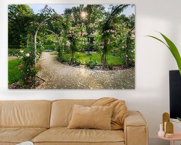 Jardin de roses dans le parc municipal de Chemnitz sur Daniela Beyer