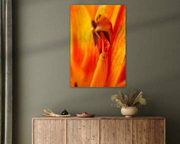 Orange Lillie Stamen Abstract II by Iris Holzer Richardson