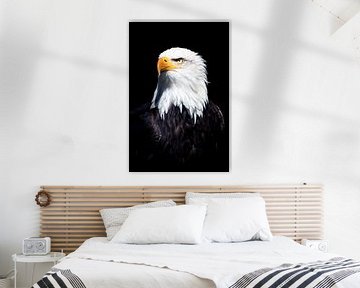 American bald eagle portrait by Marjolein Fortuin