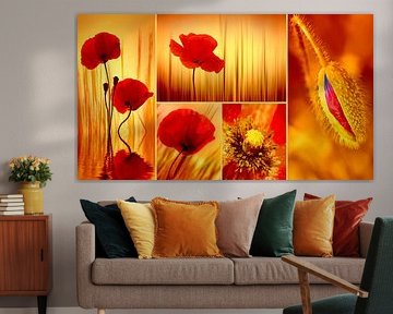 Papavers van Violetta Honkisz