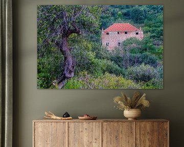 ALBENGA VILLA FORTEZZA LA COLOMBERA HET ROZE HUIS IN HET BOOM door Enrico Pelos van Enrico Pelos