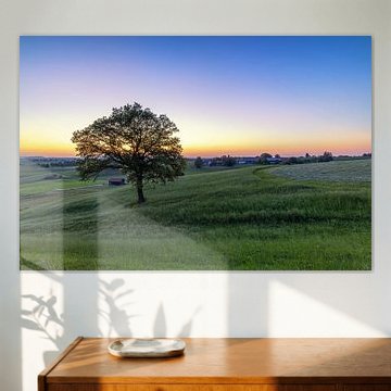 Blaue Stunde in Aidling