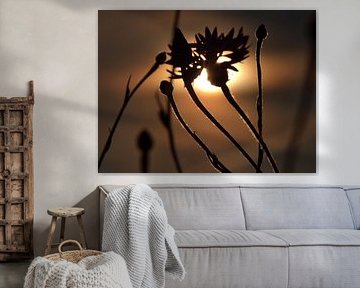 Shadow play at sunset