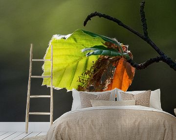 leaf in the sun by Gerard Hol