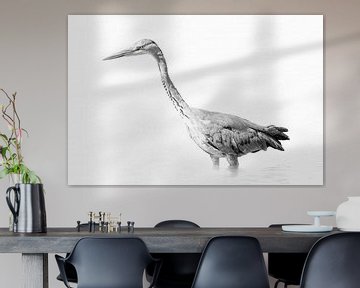 Blue heron black and white (high key version) by Gianni Argese