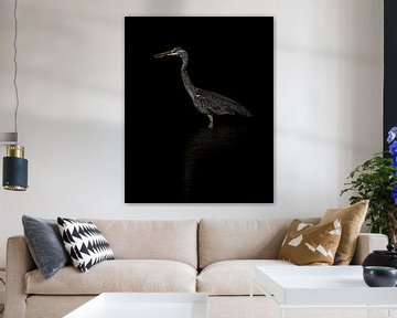 Bird - Blue Heron in Lowkey by Gianni Argese