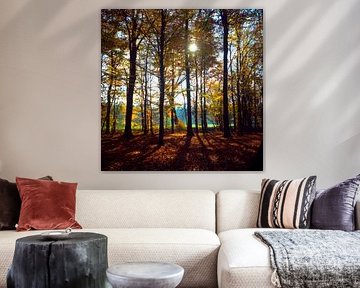 Autumn Forrest