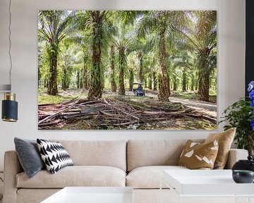 Palm trees in Bukit Lawang, Sumatra, Indonesia. by Made by Voorn