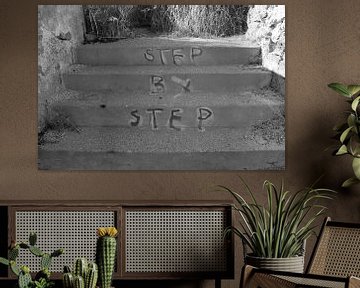 Step by step by Johannes Truyen