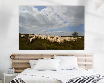 Troupeau de moutons sur le Lemelerberg sur Bernard van Zwol