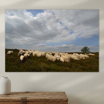 Schaapskudde op de Lemelerberg