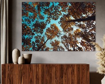 Vue de la cime des arbres de la forêt d'automne sur Andreea Eva Herczegh