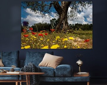Sommerblumenwiese mit Olivenbaum von Anne Böhle