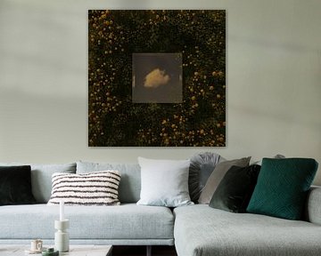 Square mirror reflects white single cloud and lies on green meadow by Besa Art