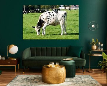 zwart bonte koe graast op groen gras van ChrisWillemsen