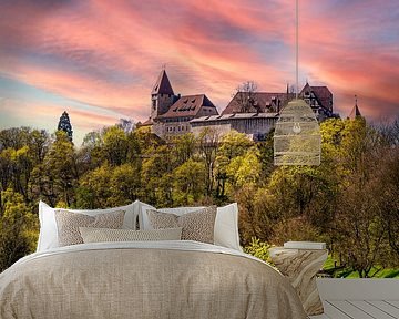 Veste Coburg in Beieren Duitsland van Animaflora PicsStock