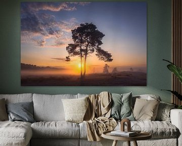 Tree with Sunrise by Zwoele Plaatjes