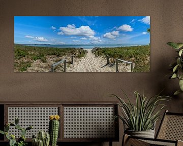 Photo panoramique de l'accès à la plage à Thiessow sur l'île de Rügen sur GH Foto & Artdesign