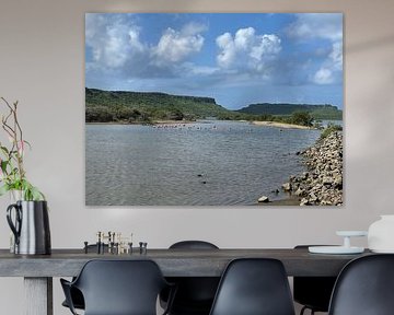 Flamingo’s van William Masseur