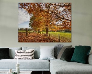 L'automne dans le sud du Limbourg sur John Kreukniet