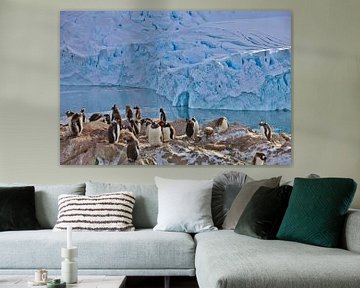 Pinguïns Antarctica van G. van Dijk