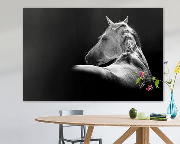 Schimmen van Elegantie - Fine Art Paardenfotografie van Femke Ketelaar