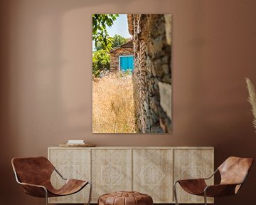 blue door and beige plants | Greece | travel photography by Lisa Bocarren