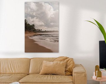 Romantic misty coastal beach with palm trees | Brazil | travel photography by Lisa Bocarren