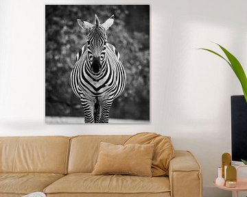 Zebra Portret van Jery Wormmeester