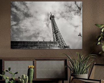 The Eiffel Tower from the water with pigeons in Paris on a rainy day