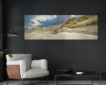 Côte néerlandaise avec plage et dunes sur eric van der eijk